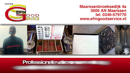 Autobedrijf E.F.M. Good Service – Maarssen