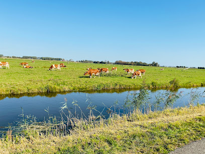 Thema – Leidschendam