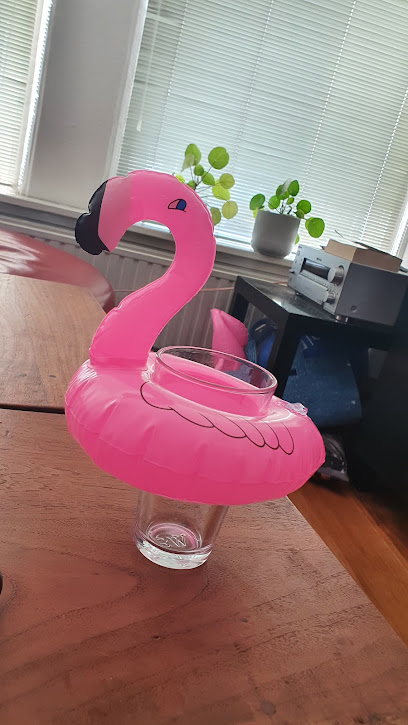 Het Vlamingo Nest – Delft