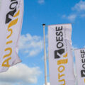 Auto Koese Oud-Beijerland – Oud-Beijerland Auto Koese Oud-Beijerland – Oud-Beijerland
