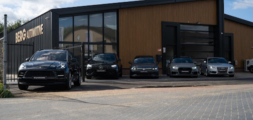 Berg Automotive – Zetten