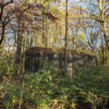 Staelduinse Bos – s-Gravenzande Staelduinse Bos – s-Gravenzande