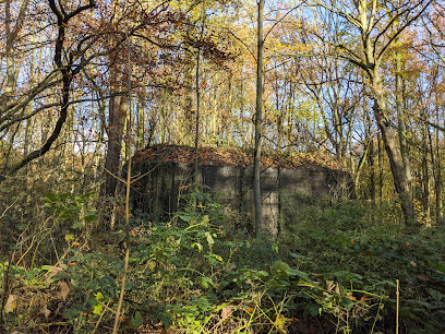 Staelduinse Bos – s-Gravenzande