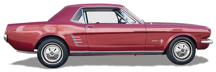 Dushi Car Cleaning – Sassenheim