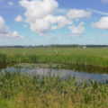 Arion Aanhangwagens – Leidschendam Arion Aanhangwagens – Leidschendam