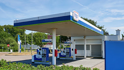 Argos Monster, Rijnweg – Monster