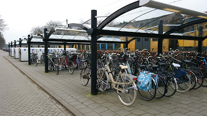 Parkeerplaats Station Den Dolder – Den Dolder