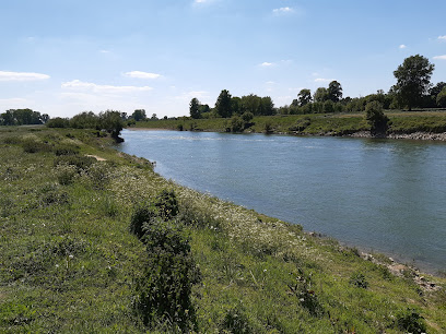 Stein – Stein