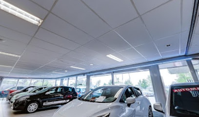 Vakgarage Van den Wildenberg – Nuenen