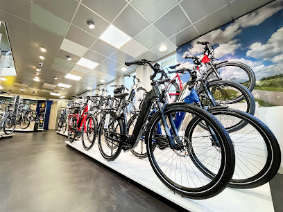Fietsspeciaalzaak Ronald Schot B.V. – Edam