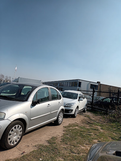 Riffi Auto’s – Nijmegen