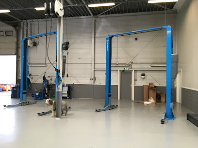 Thommy.nl, Auto elektronica / Occasions – Lisse