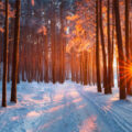 Autodoktertje – The Hague Autodoktertje – The Hague