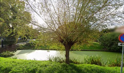 Handelsonderneming Mk – Rotterdam