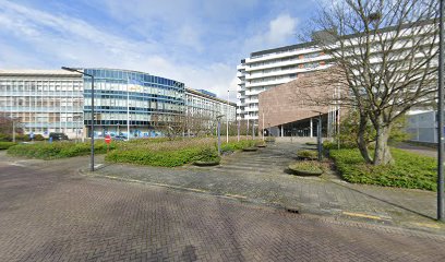 Limitless Automotive B.V. – Vlaardingen